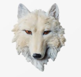 Aimant tête de loup